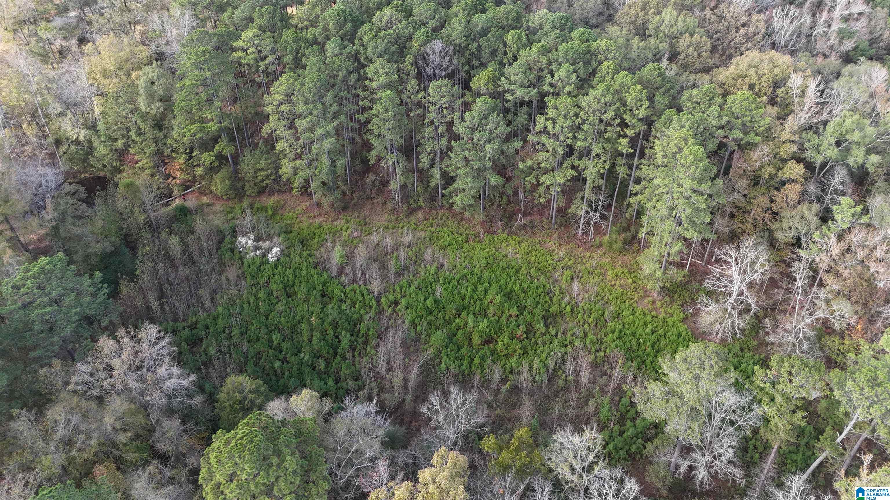 1 Highway 39, Unit 1 Chelsea, AL 35043 - Photo 3 of 6