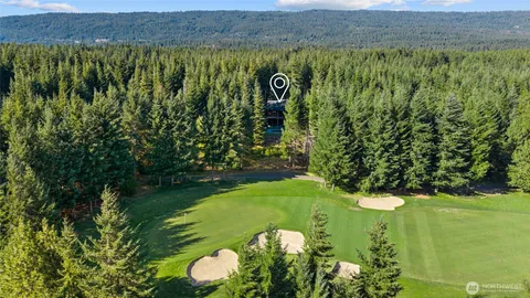 a view of a bunch of trees and bushes