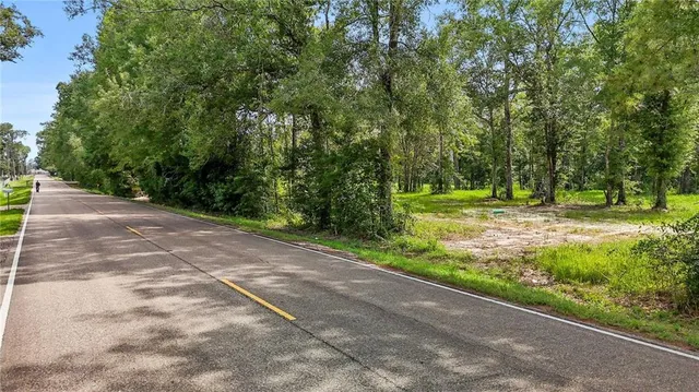 $85,000 | 0 Lee's Landing Road, Ponchatoula, LA 70454