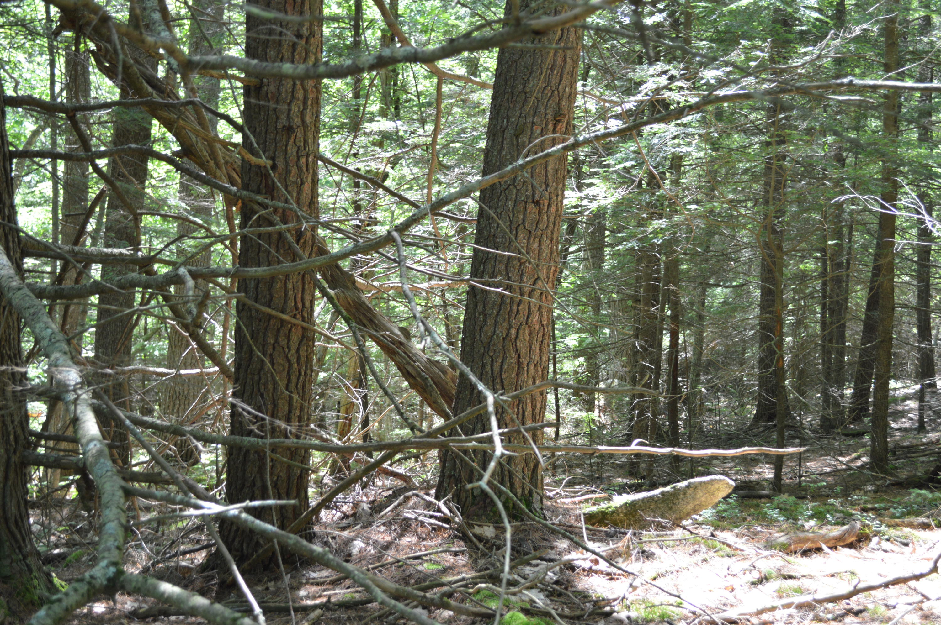 0 Johnson Road Windham, ME 04062 - Photo 15 of 24 ..