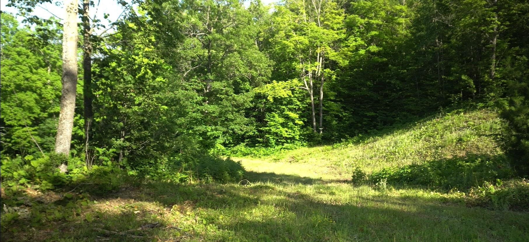 83-xxx Ashwabay Heights Road Bayfield, WI 54814 - Photo 2 of 11 View of woods