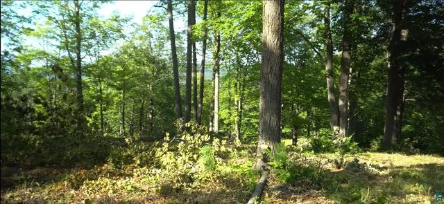 $79,000 | 83-xxx Ashwabay Heights Road, Bayfield, WI 54814