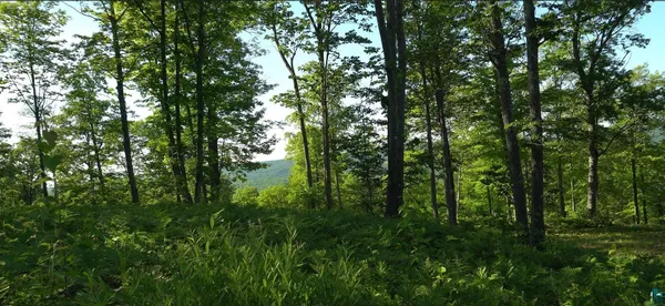 $79,000 | 83-xxx Ashwabay Heights Road, Bayfield, WI 54814