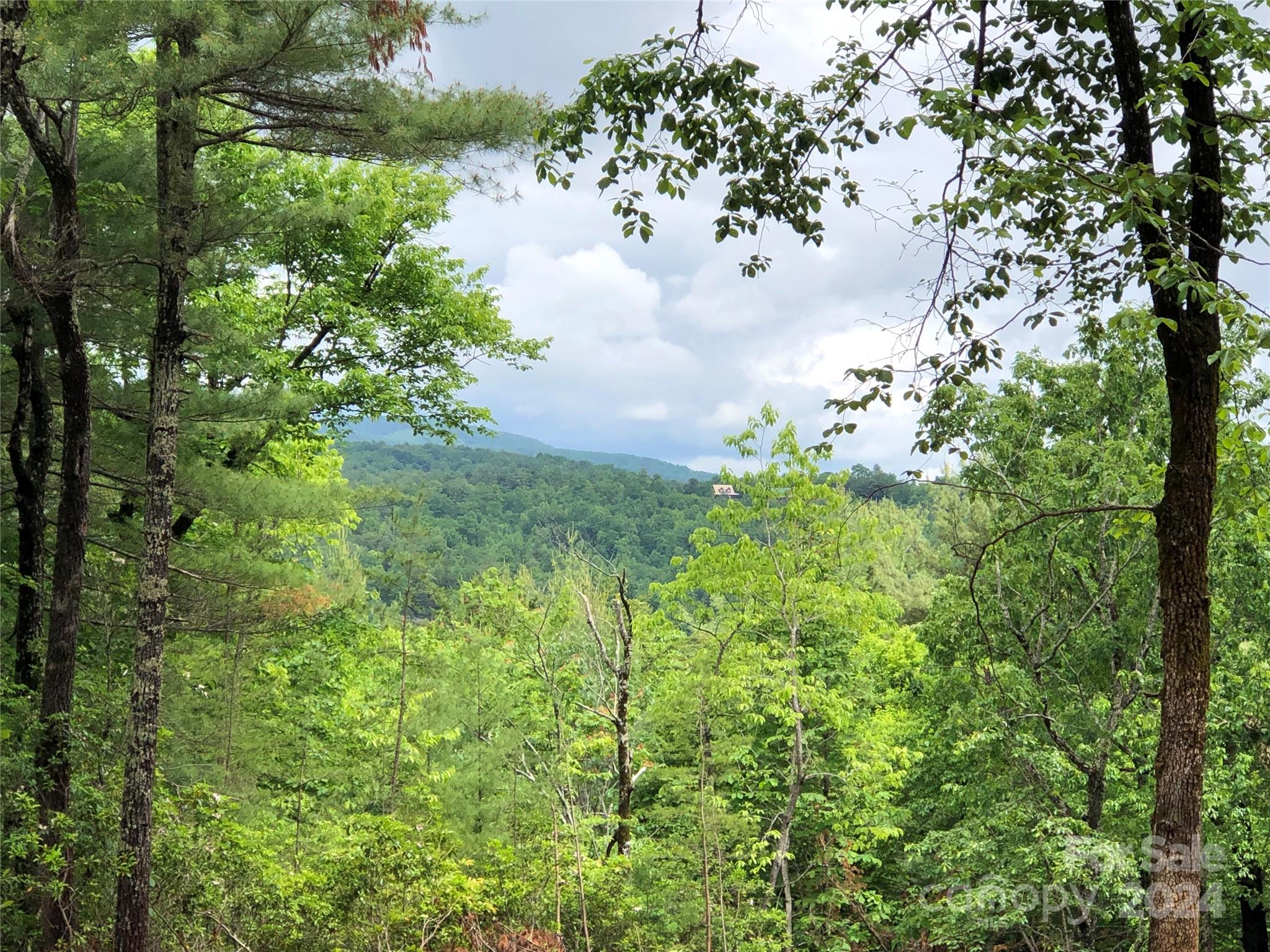 Tbd Deer Antler Road, Unit 80 Purlear, NC 28665 - Photo 1 of 43 Gallery Image 1