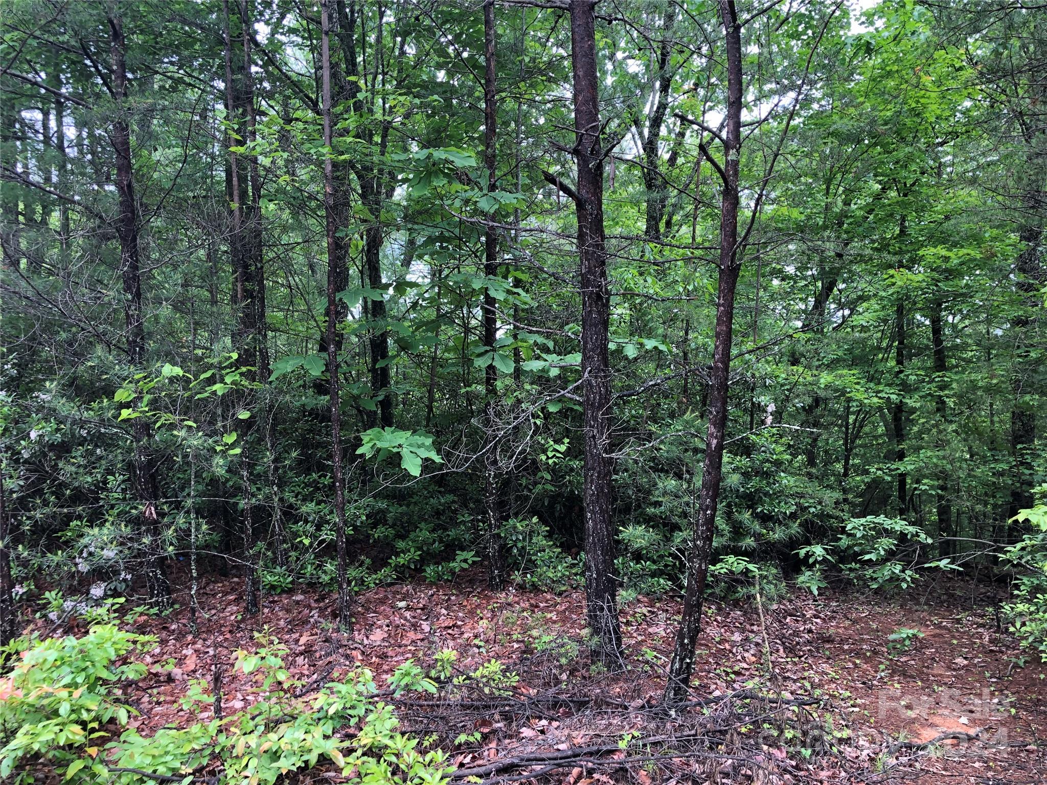 Tbd Deer Antler Road, Unit 80 Purlear, NC 28665 - Photo 11 of 43 Gallery Image 11