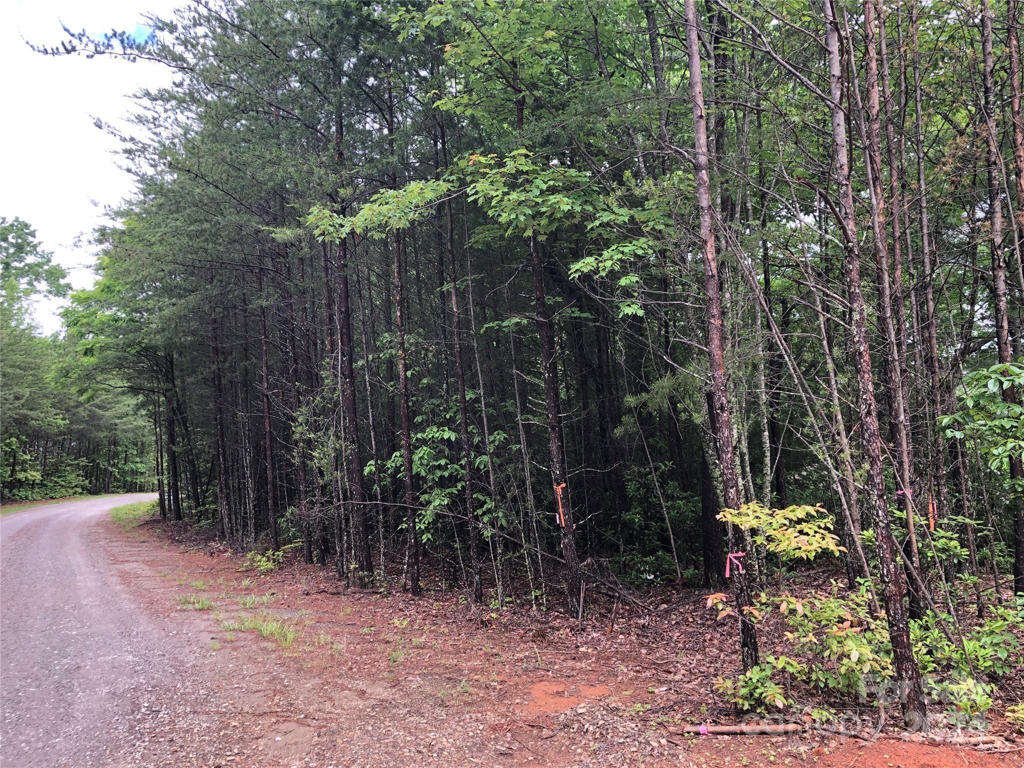 Tbd Deer Antler Road, Unit 80 Purlear, NC 28665 - Photo 13 of 43 Gallery Image 13