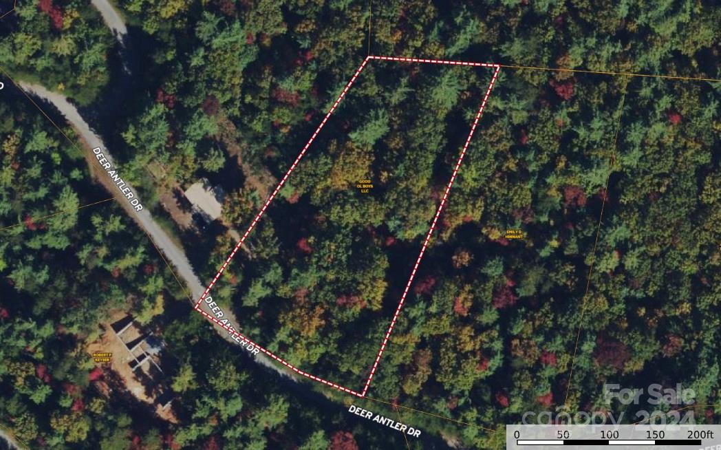 Tbd Deer Antler Road, Unit 80 Purlear, NC 28665 - Photo 4 of 43 Gallery Image 4