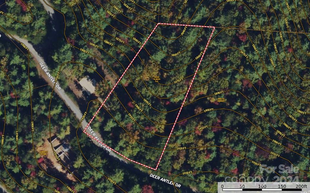 Tbd Deer Antler Road, Unit 80 Purlear, NC 28665 - Photo 5 of 43 Gallery Image 5