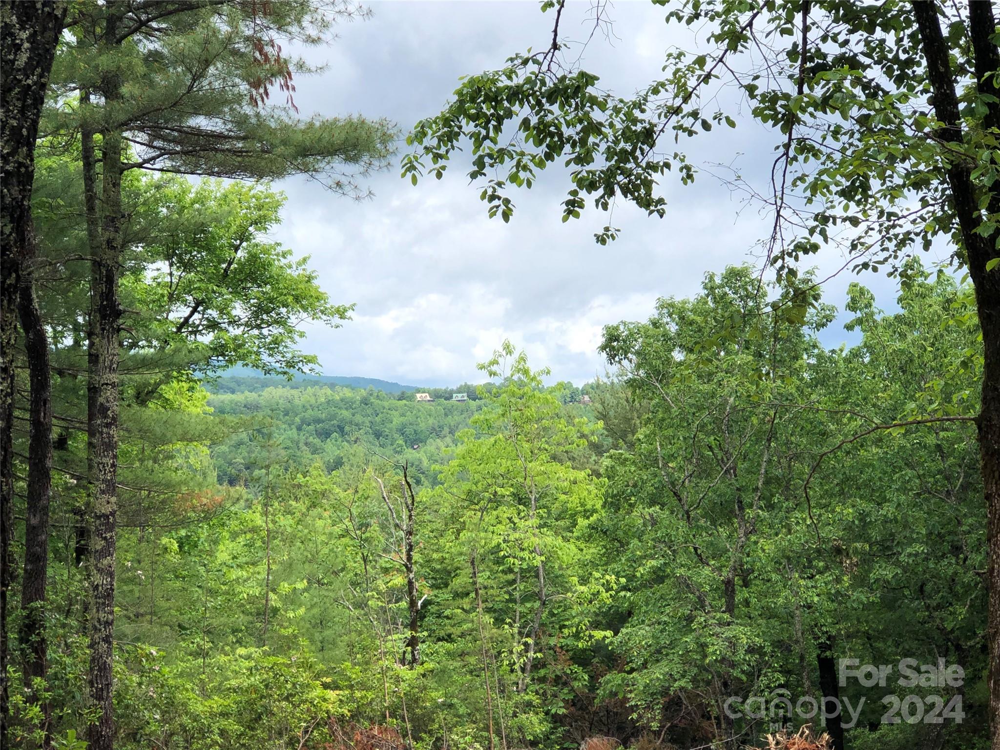Tbd Deer Antler Road, Unit 80 Purlear, NC 28665 - Photo 7 of 43 Gallery Image 7
