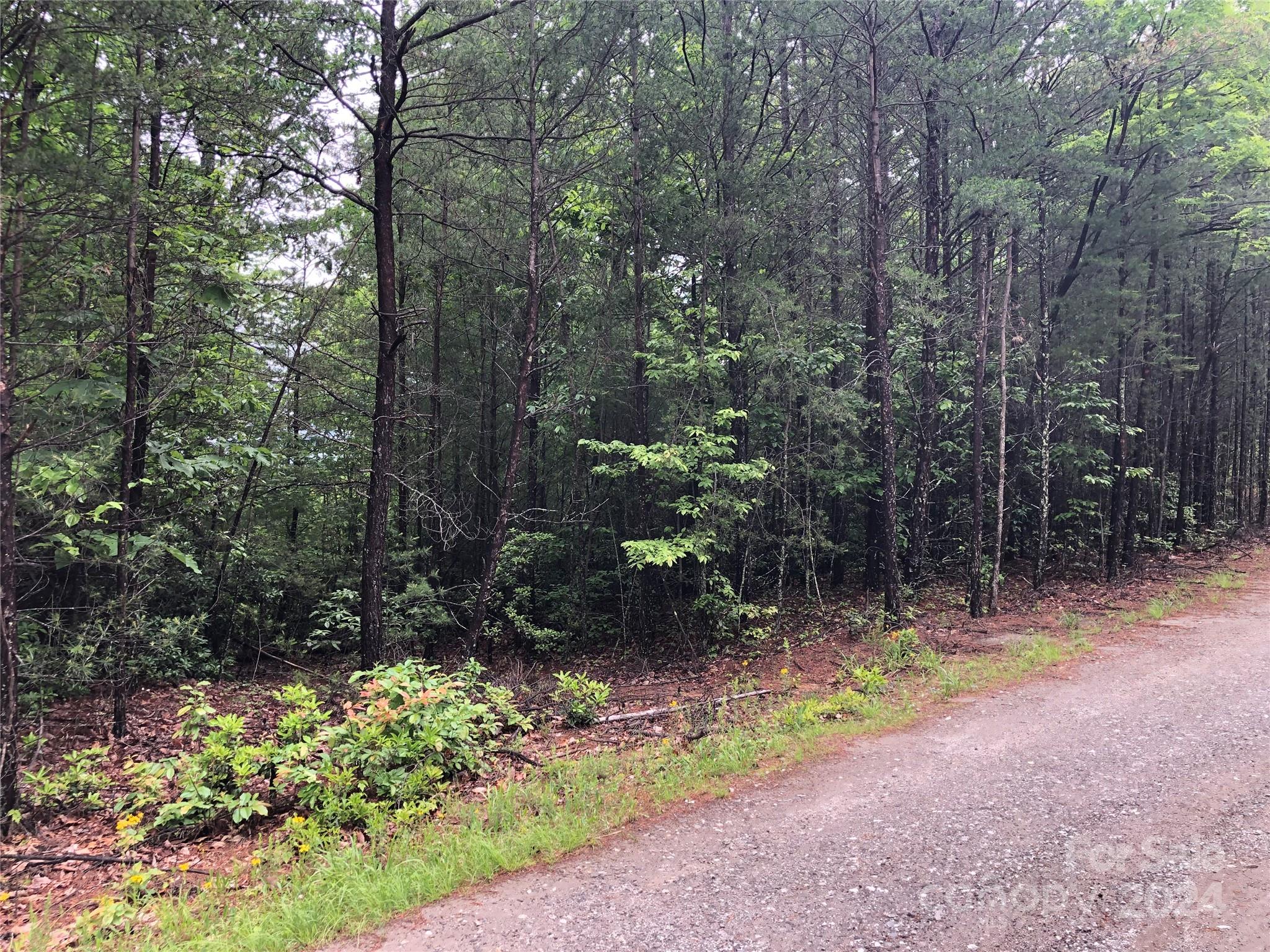 Tbd Deer Antler Road, Unit 80 Purlear, NC 28665 - Photo 8 of 43 Gallery Image 8