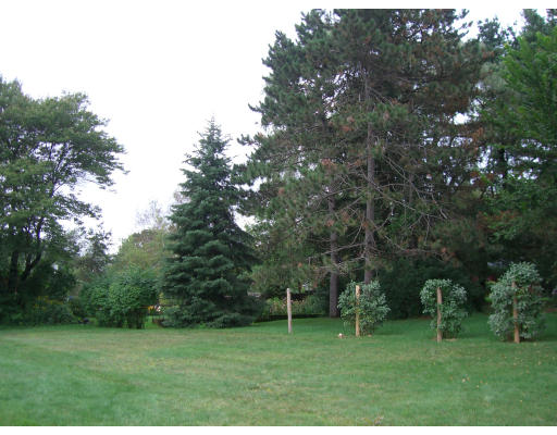 18 Stinson Road Andover, MA 01810 - Photo 6 of 15 a grassy field with trees in the background
