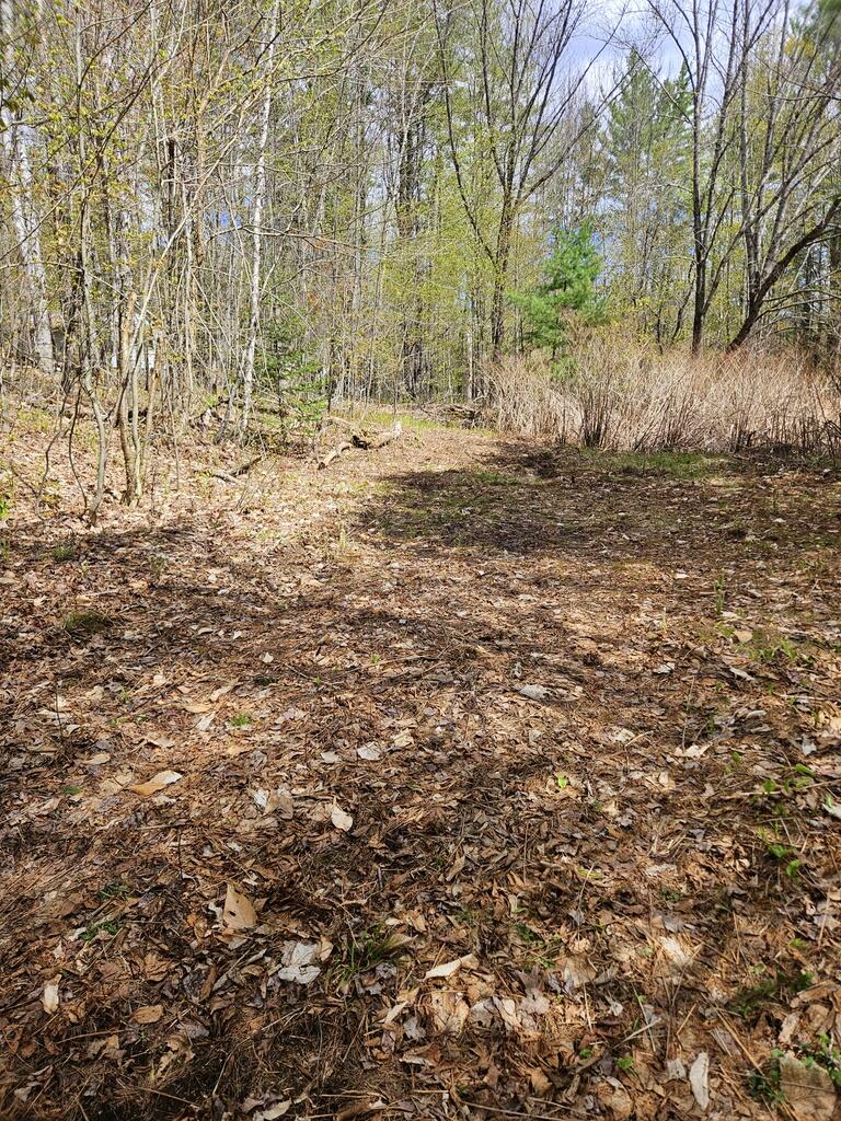 Lot 23 Edes Brook Road Temple, ME 04984 - Photo 4 of 4 20260511_103444