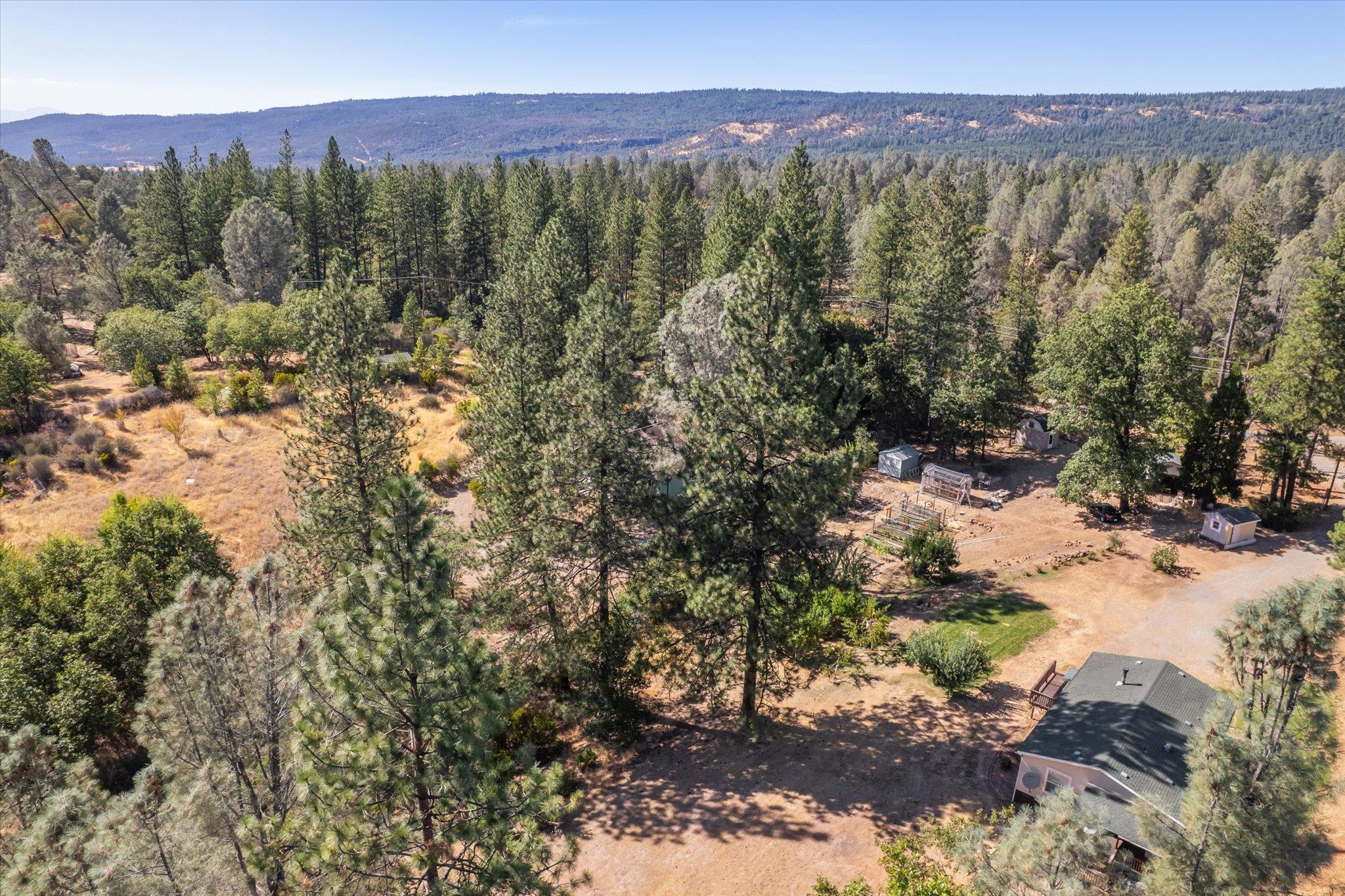 32943 Rock Creek Road Manton, CA 96059 - Photo 40 of 44
