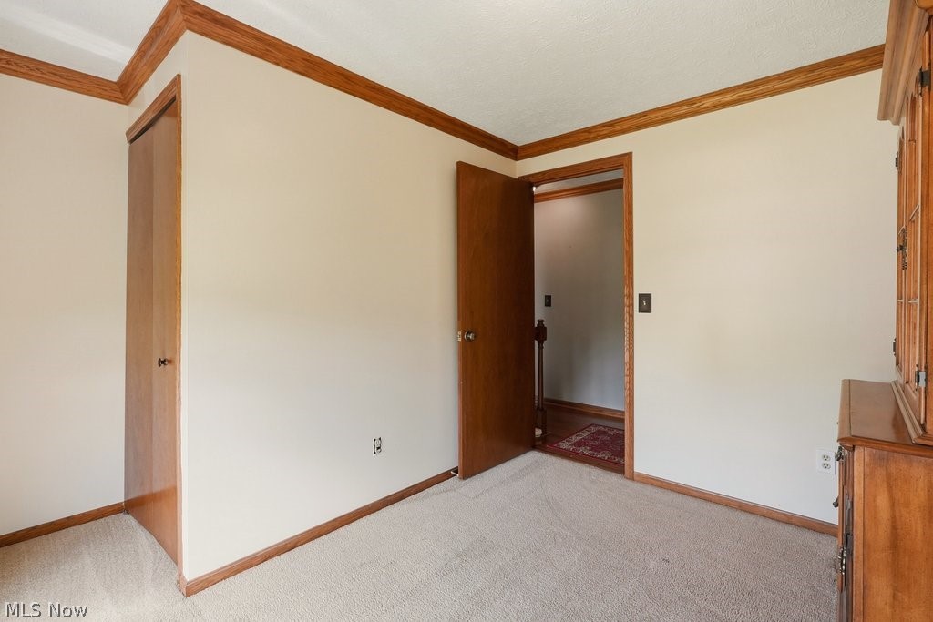 5321 Young Road Stow, OH 44224 - Photo 28 of 37 Interior room featuring neutral wall paint, light-toned carpet flooring, and wood trim detailing