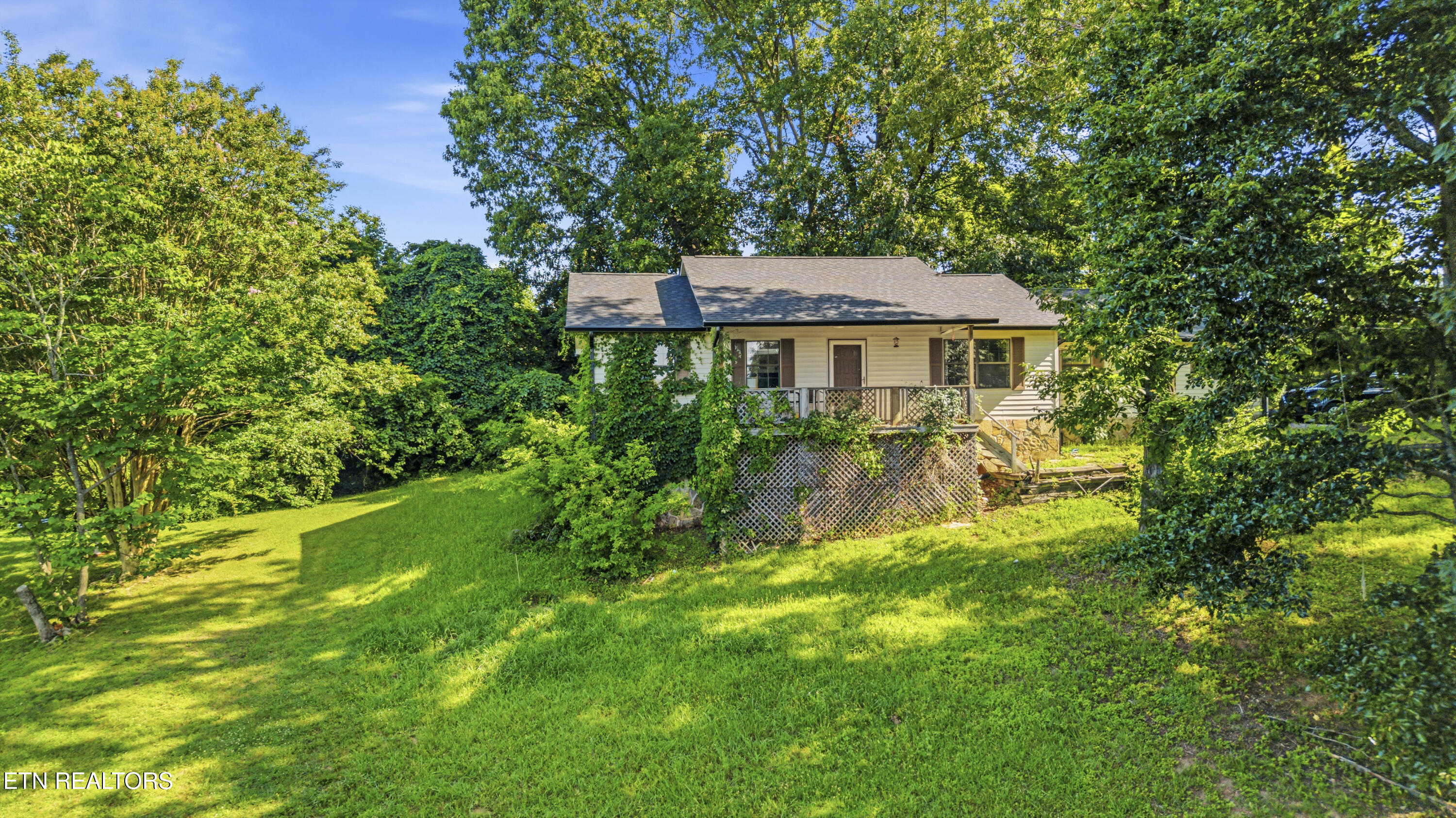 205 Booker Road Maynardville, TN 37807 - Photo 9 of 24 DJI_20260703101529_0251_D