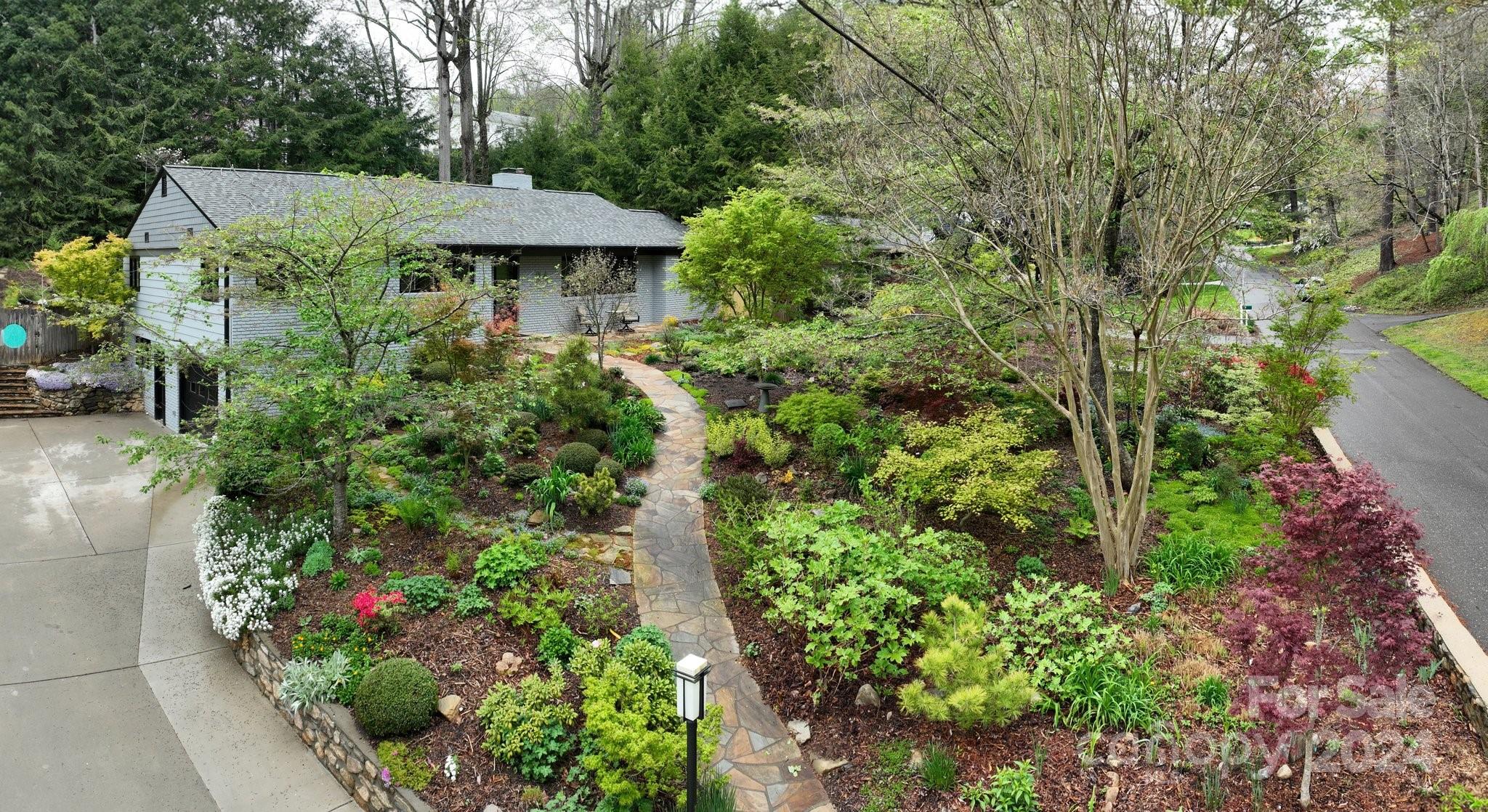 a view of a garden with plants and large trees
