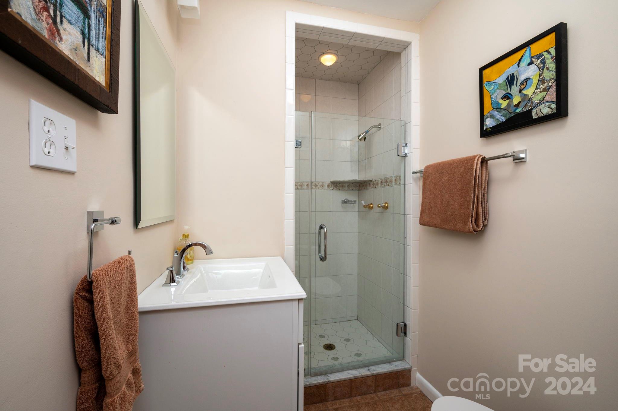 24 Maplewood Road Asheville, NC 28804 - Photo 20 of 38 a bathroom with a sink and a mirror