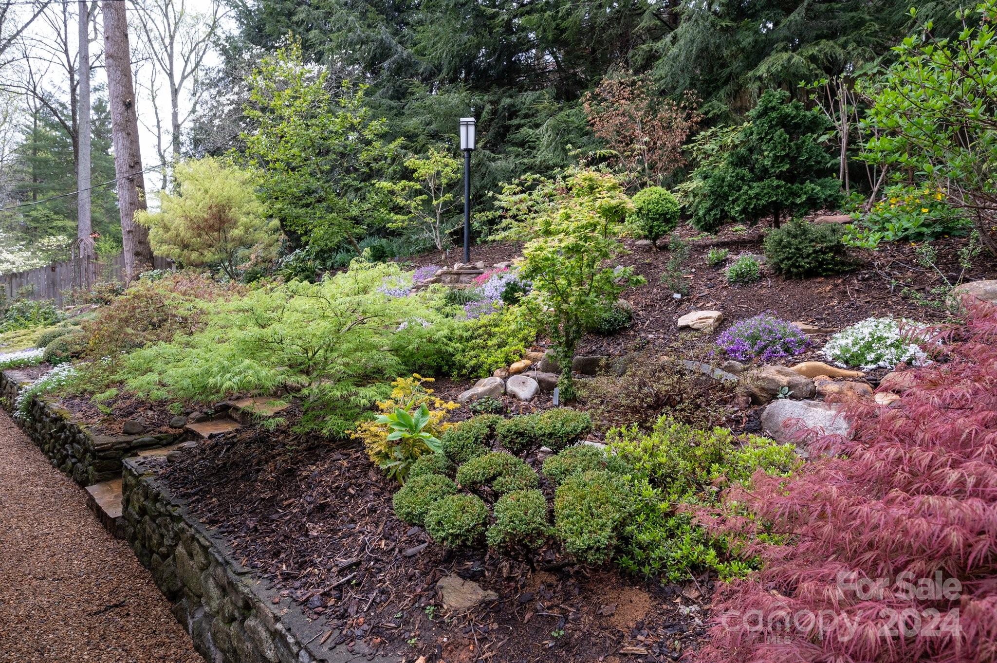 24 Maplewood Road Asheville, NC 28804 - Photo 23 of 38 a view of a garden with plants and flowers