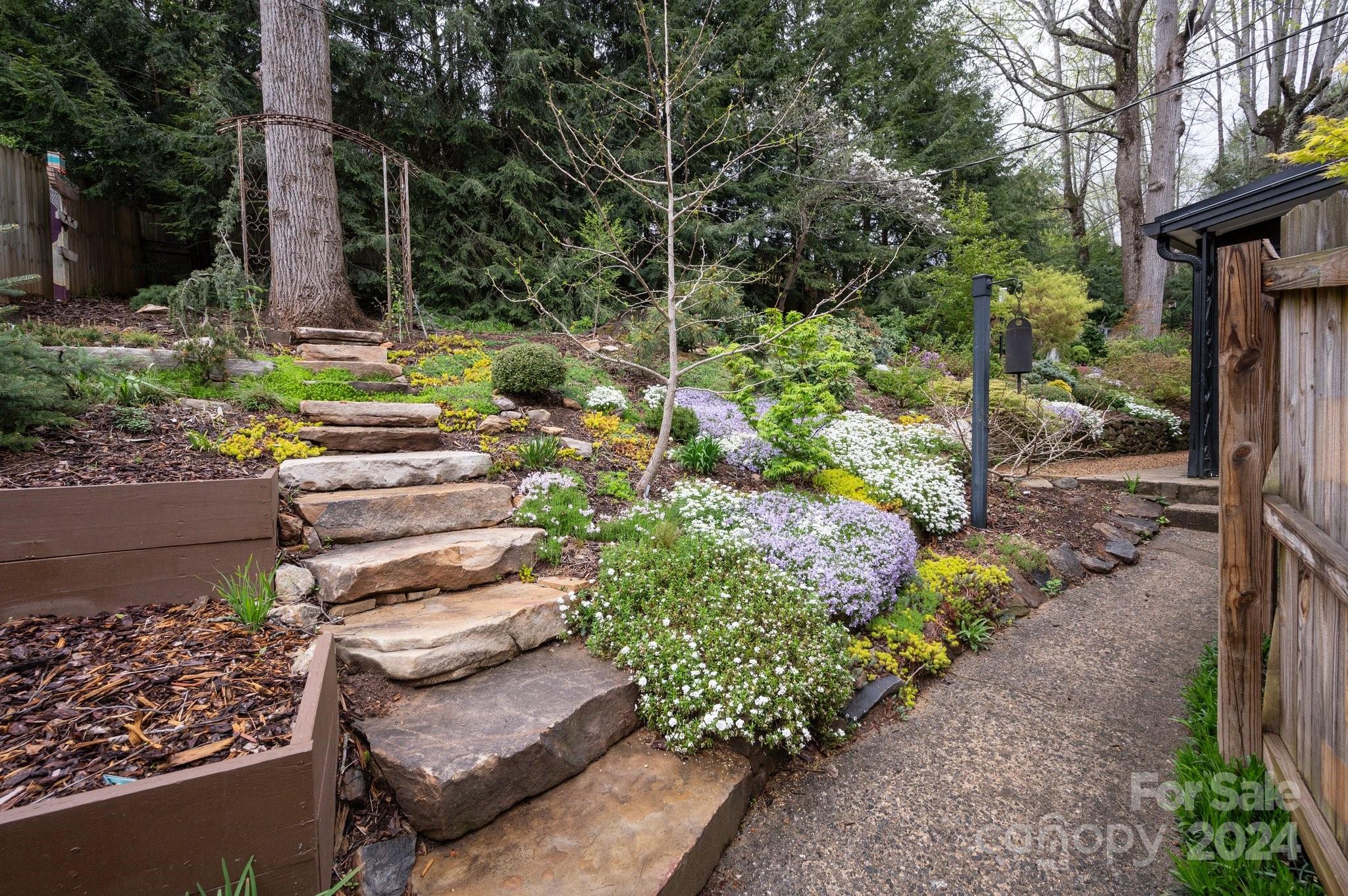 24 Maplewood Road Asheville, NC 28804 - Photo 24 of 38 a garden with lots of trees and flowers