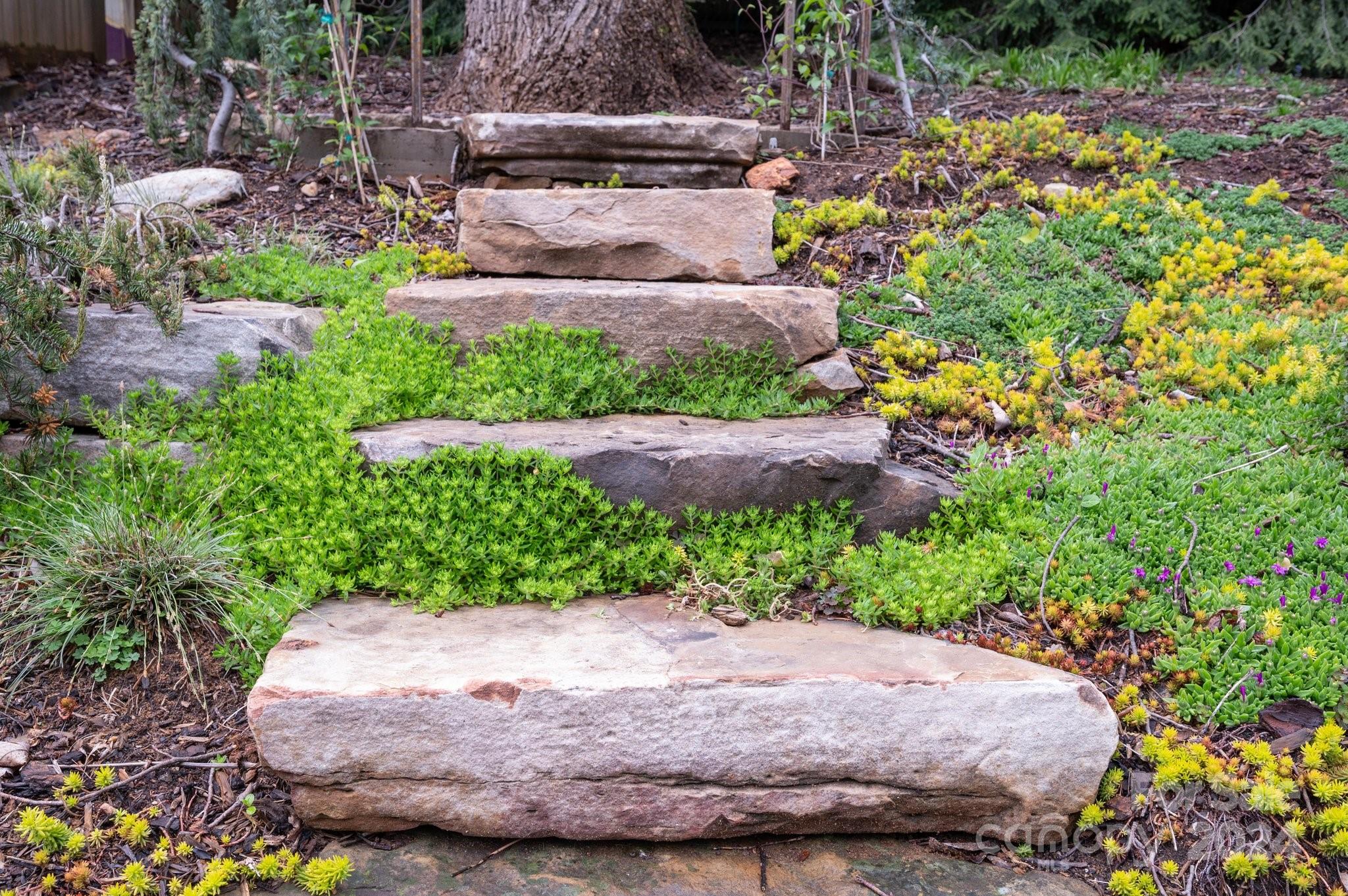 24 Maplewood Road Asheville, NC 28804 - Photo 26 of 38 a view of a garden with plants