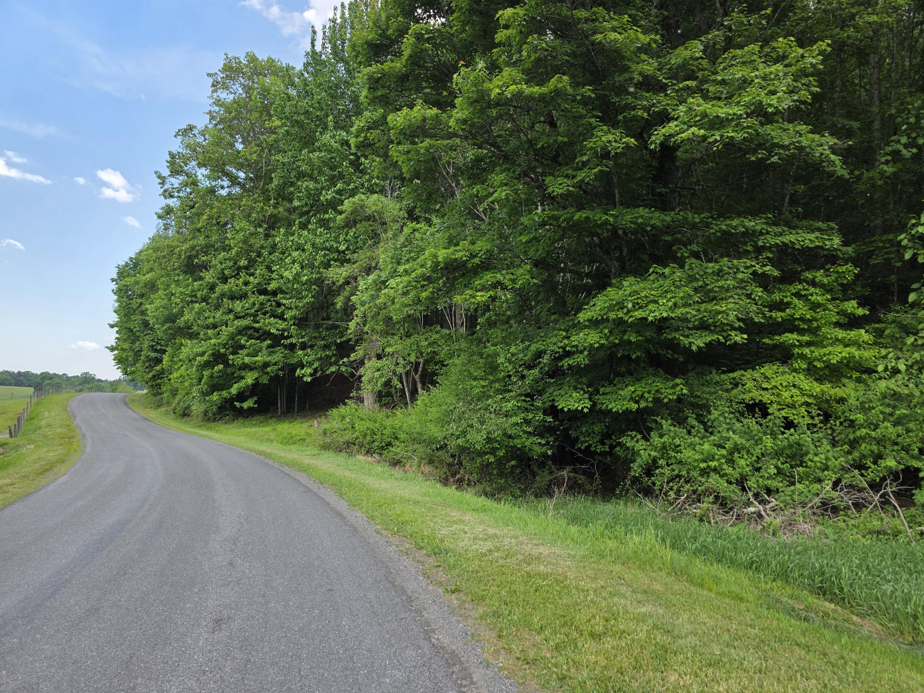 Tbd Bent Nail Road Hillsville, VA 24343 - Photo 4 of 16 a view of a yard with plants and a bench under large trees