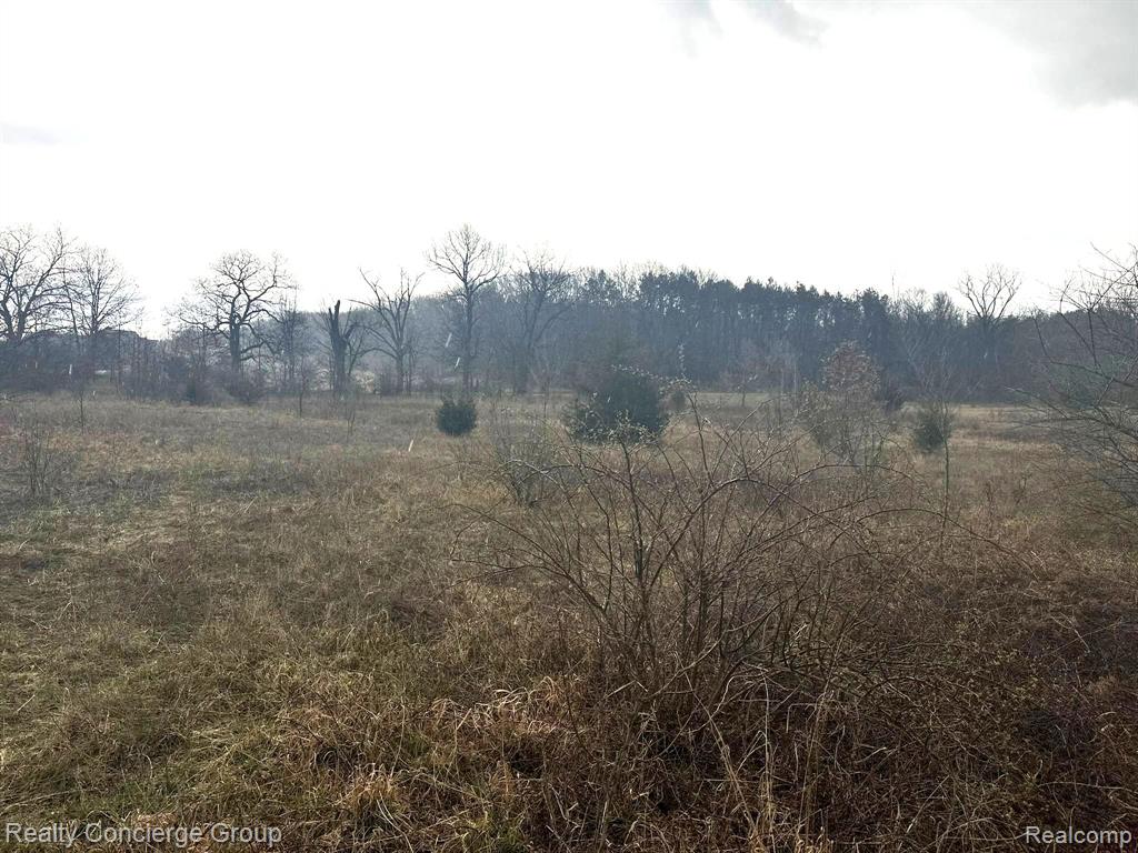 0 Dutcher Road Howell, MI 48843 - Photo 16 of 21