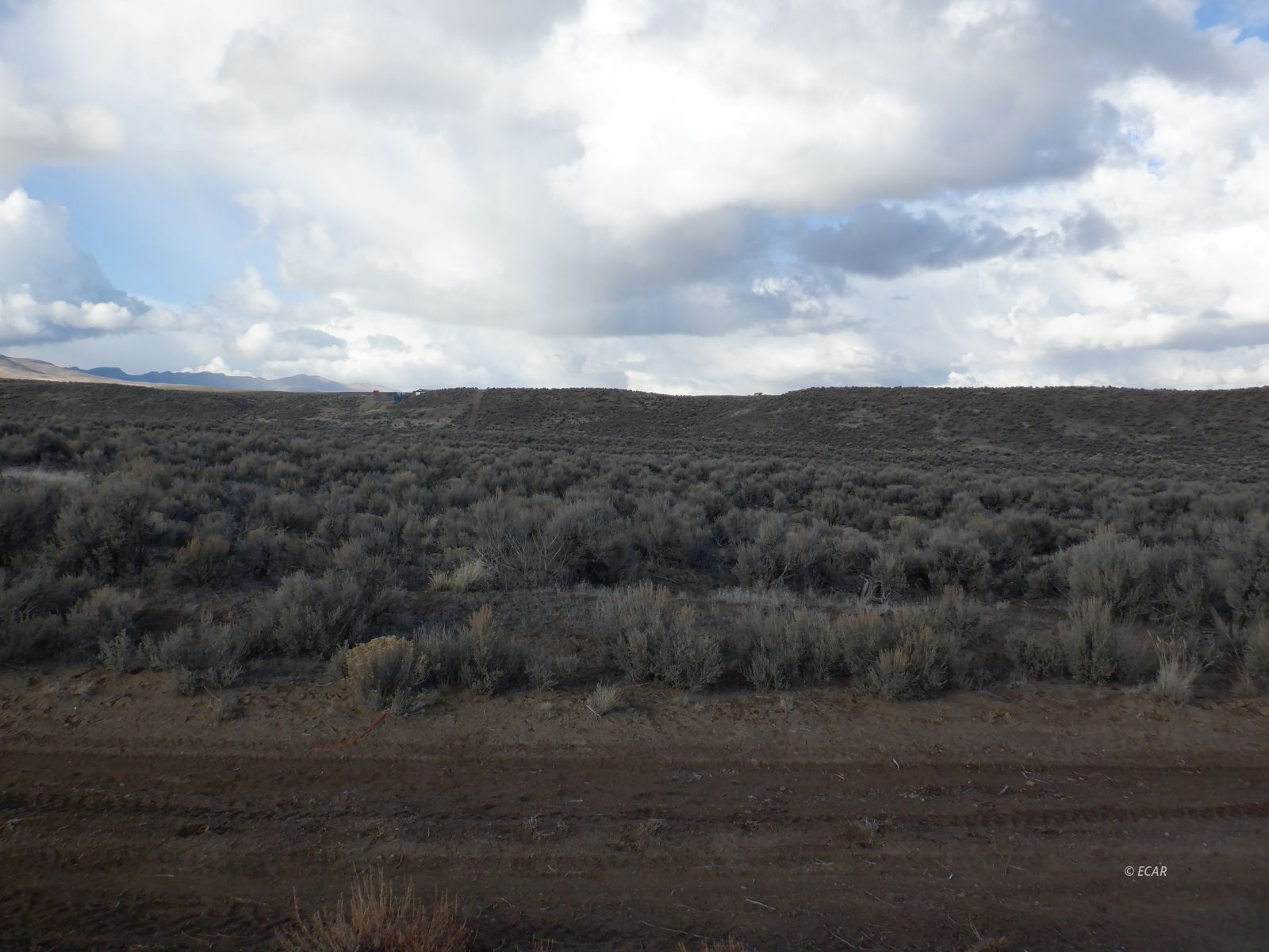 40-5 5th Street, Unit 405 Elko, NV 89801 - Photo 2 of 6