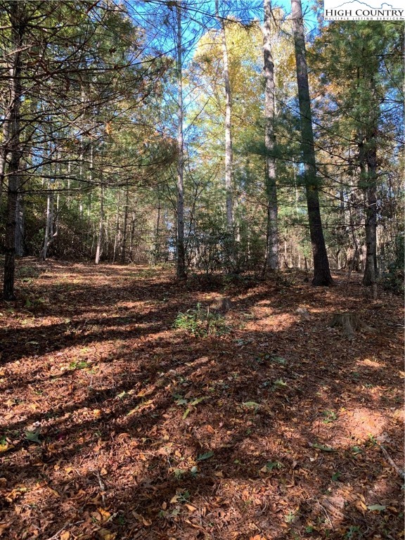 Lot 14 Ridge Line Trail Independence, VA 24348 - Photo 1 of 5 Gallery Image 1