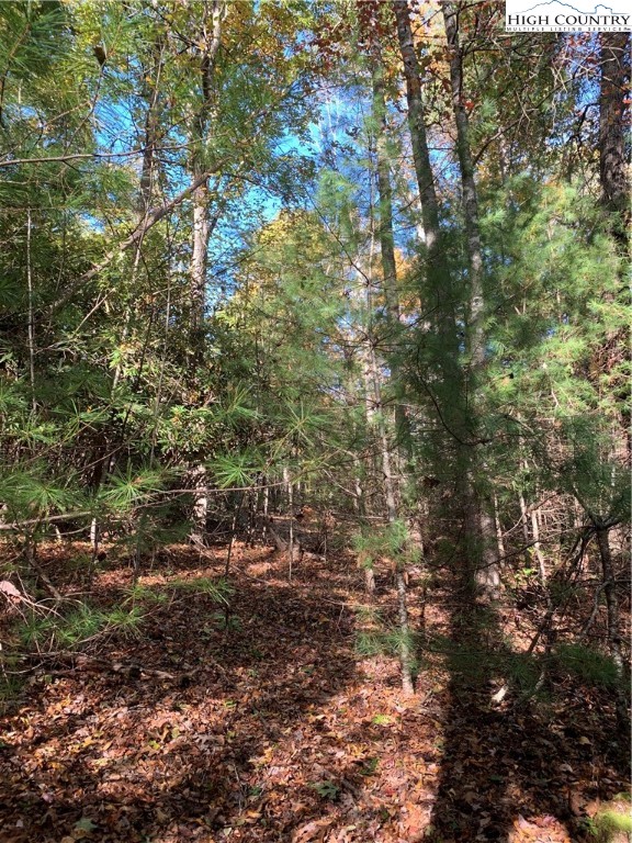Lot 14 Ridge Line Trail Independence, VA 24348 - Photo 3 of 5 Gallery Image 3