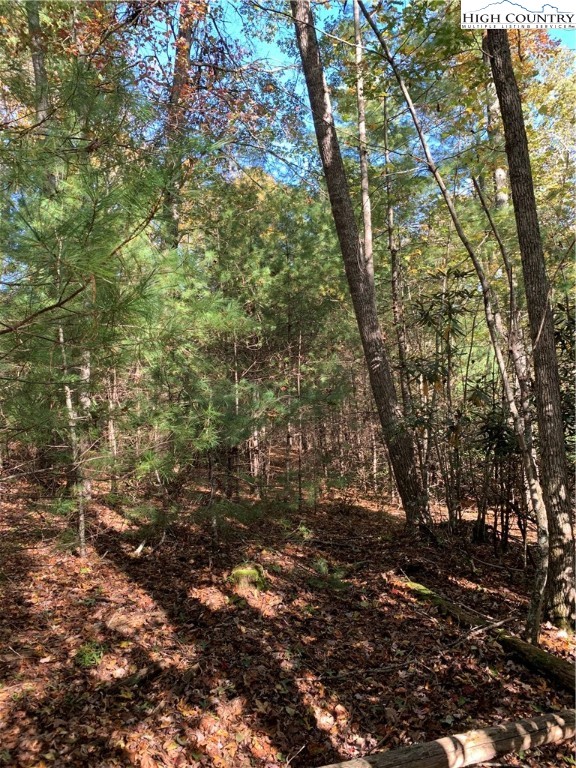 Lot 14 Ridge Line Trail Independence, VA 24348 - Photo 4 of 5 Gallery Image 4