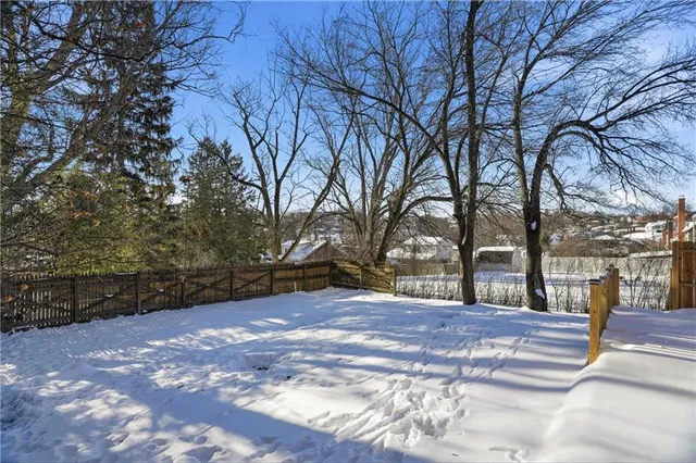 a view of pathway with tree in front of it