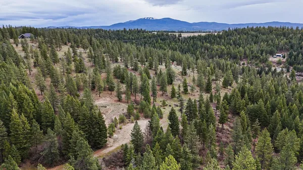 $80,000 | Lot 29 East Barbi Court, Chattaroy, WA 99003