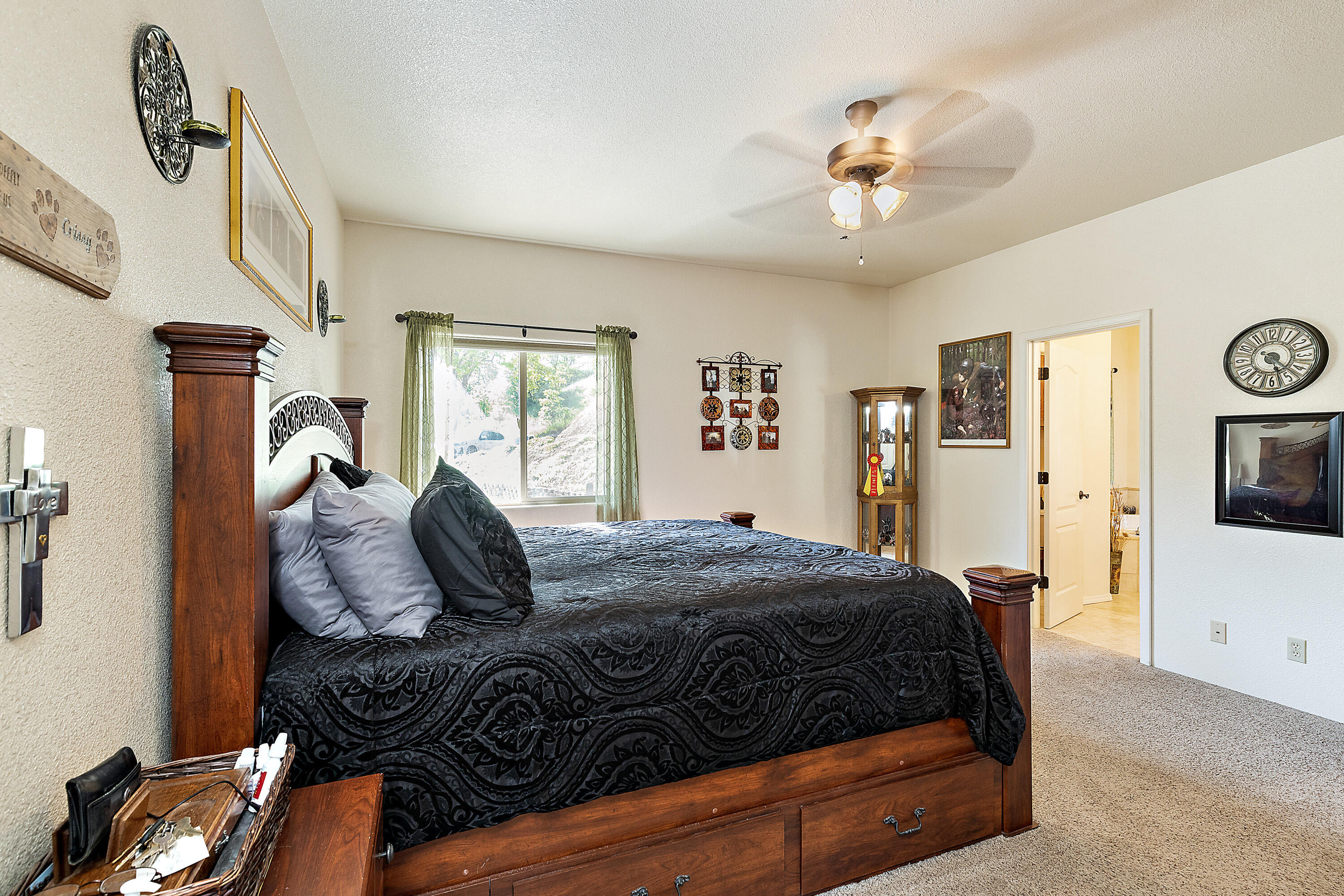 3852 North River Road Gold Hill, OR 97525 - Photo 17 of 39 Master Suite w/Walk in Closet