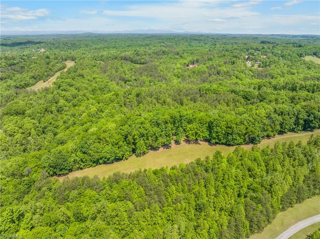 1392 Mission Road Danbury, NC 27016 - Photo 21 of 29