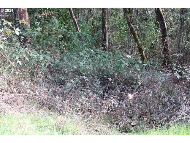 $45,000 | 0 Southwest Pioneer Way, Myrtle Creek, OR 97457