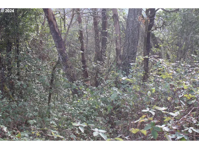 $45,000 | 0 Southwest Pioneer Way, Myrtle Creek, OR 97457