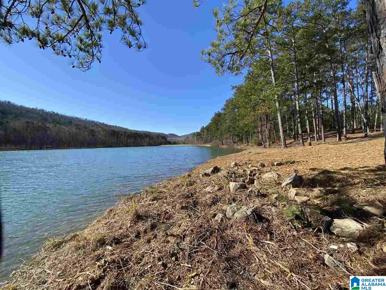 Lot 15 Saunders Bridge Road, Unit 15A Sterrett, AL 35147 - Photo 6 of 7