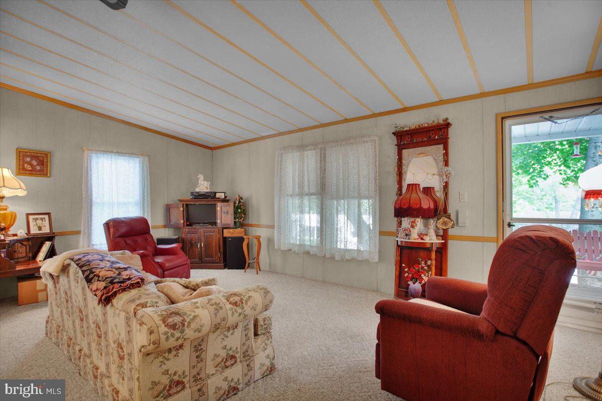 223 Maple Avenue Manheim, PA 17545 - Photo 16 of 29 Spacious Living Room