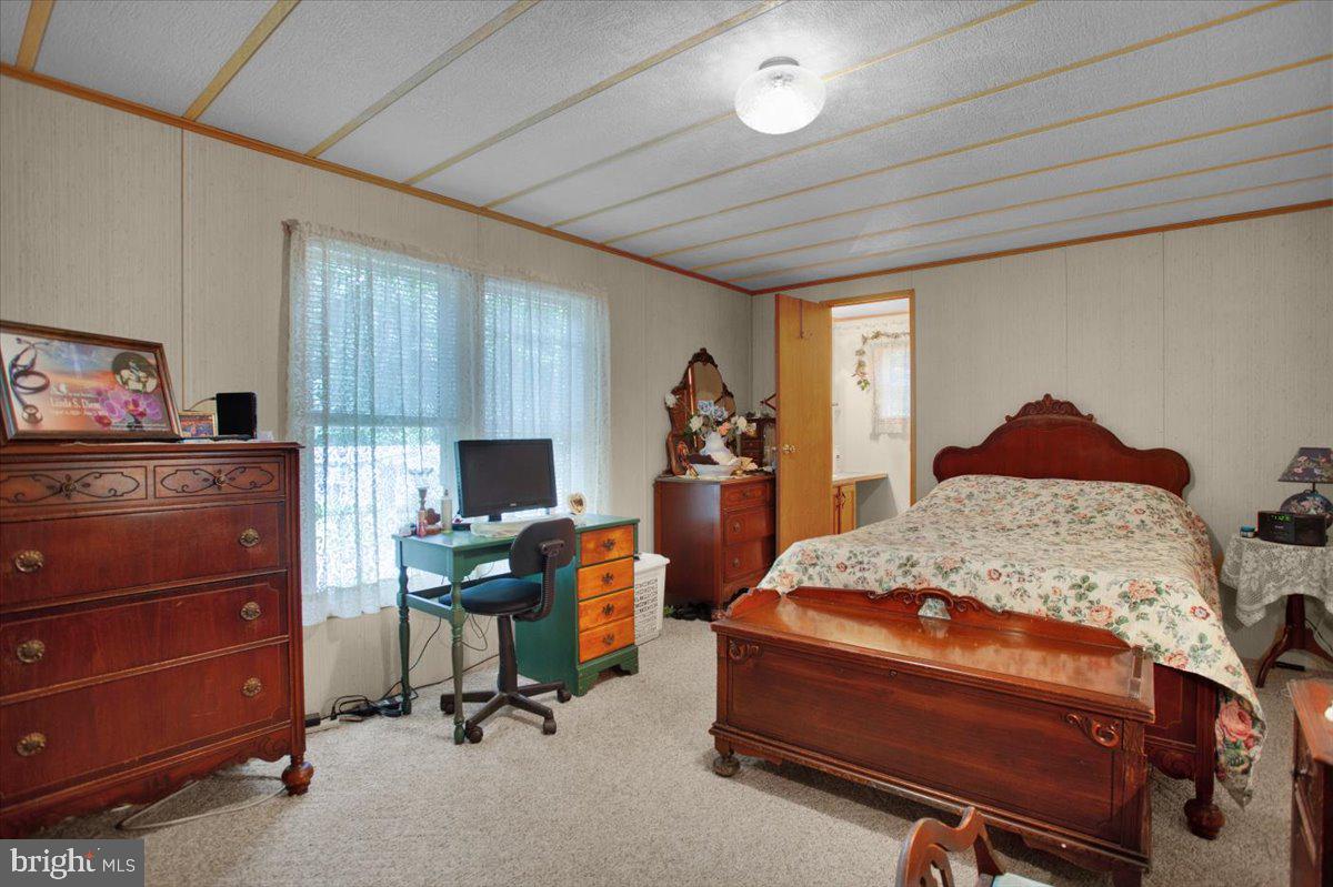 223 Maple Avenue Manheim, PA 17545 - Photo 20 of 29 Primary bedroom with full bath