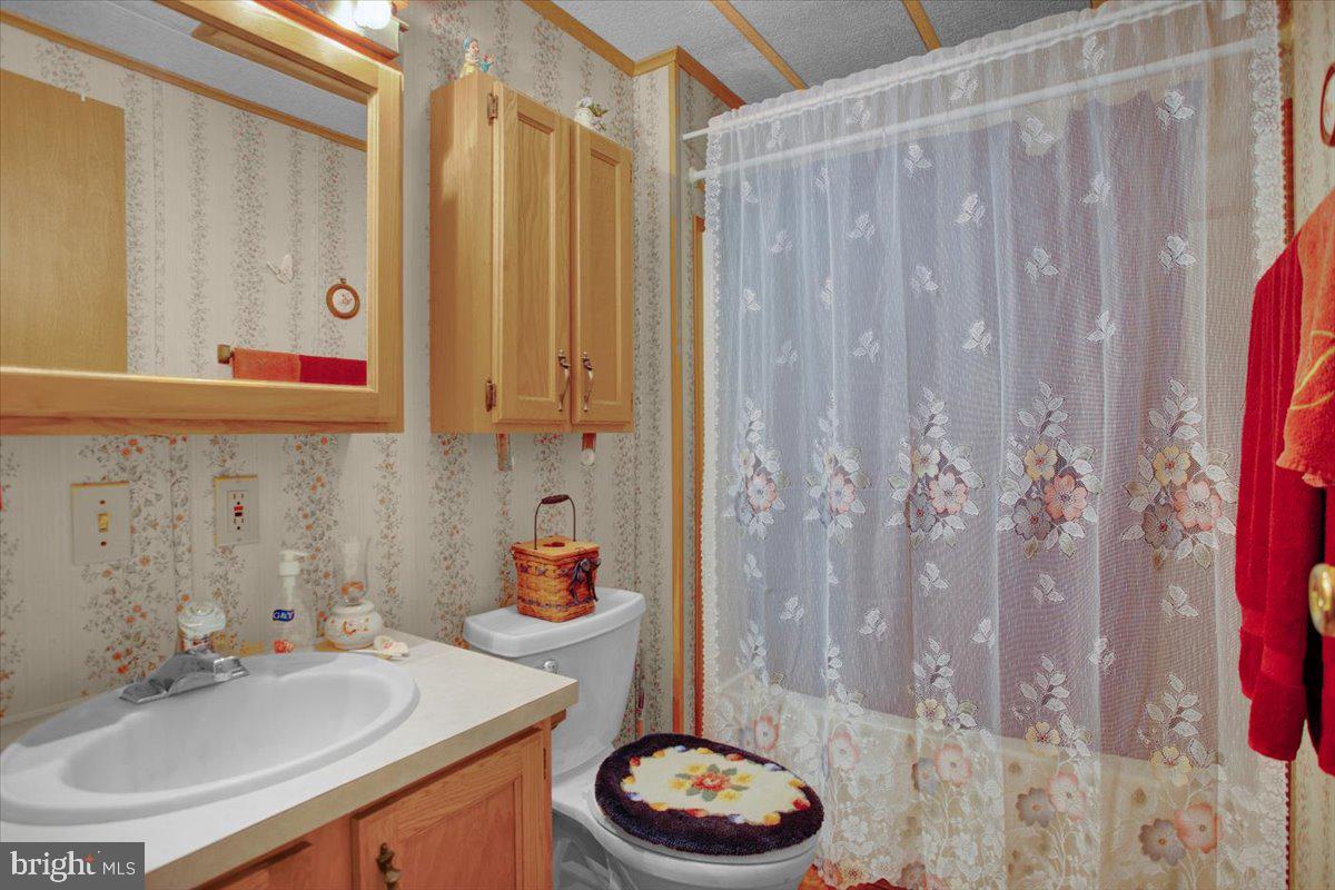 223 Maple Avenue Manheim, PA 17545 - Photo 25 of 29 Bathroom 2