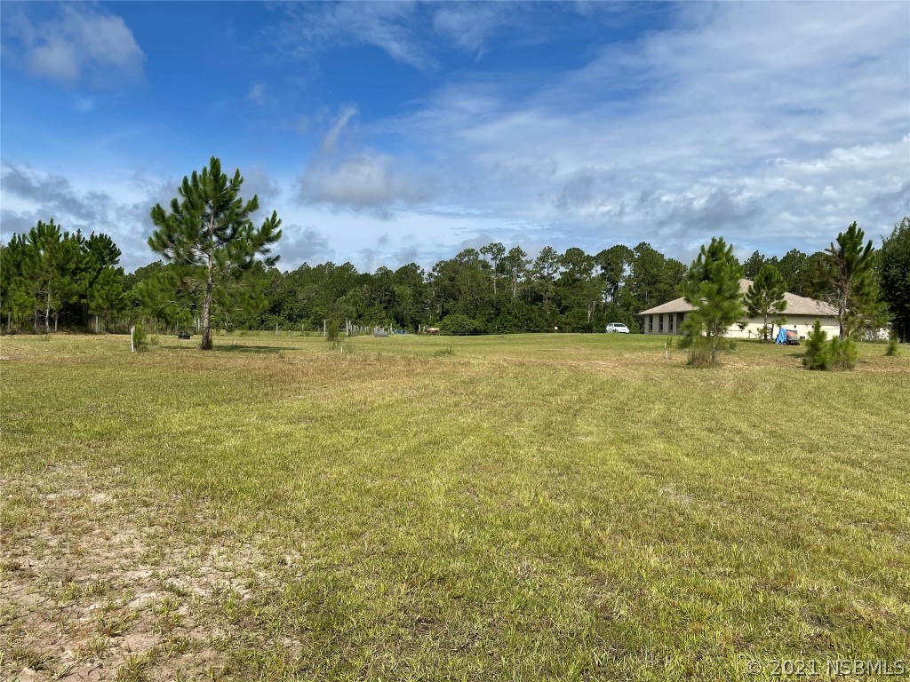 621 Ranchette Road New Smyrna Beach, FL 32168 - Photo 3 of 45 Gallery Image 3