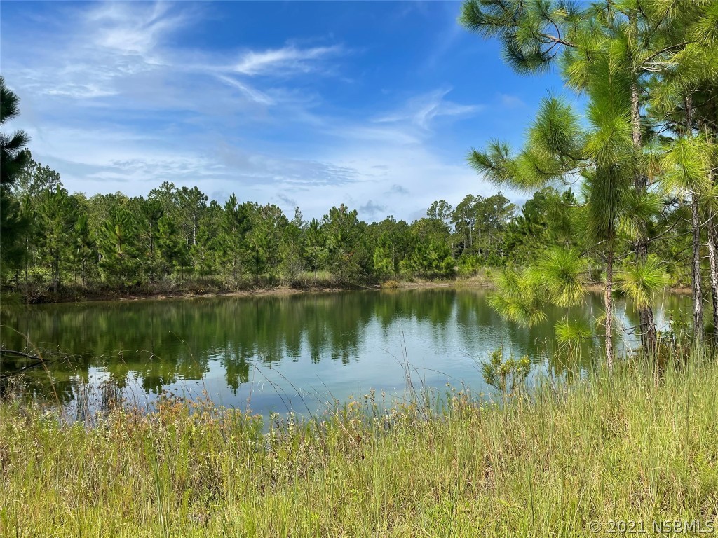 621 Ranchette Road New Smyrna Beach, FL 32168 - Photo 40 of 45 Gallery Image 40