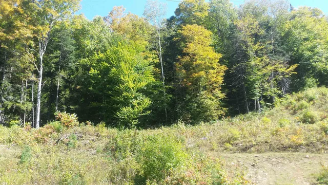 $250,000 | 522 Justin Morrill Memorial Highway, Strafford, VT 05072