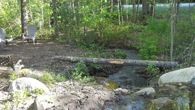 $250,000 | 522 Justin Morrill Memorial Highway, Strafford, VT 05072