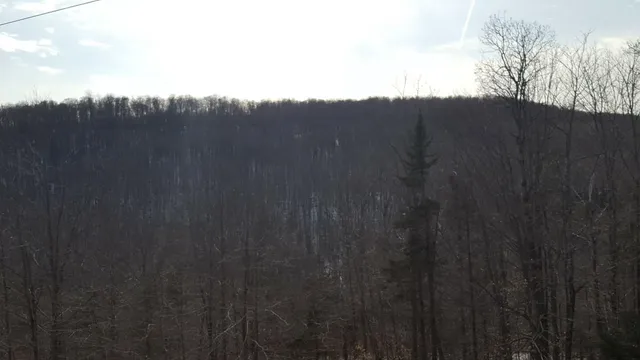 $250,000 | 522 Justin Morrill Memorial Highway, Strafford, VT 05072