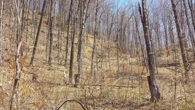 $250,000 | 522 Justin Morrill Memorial Highway, Strafford, VT 05072