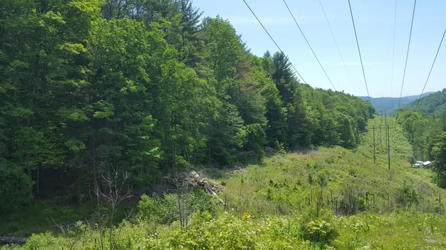 $250,000 | 522 Justin Morrill Memorial Highway, Strafford, VT 05072