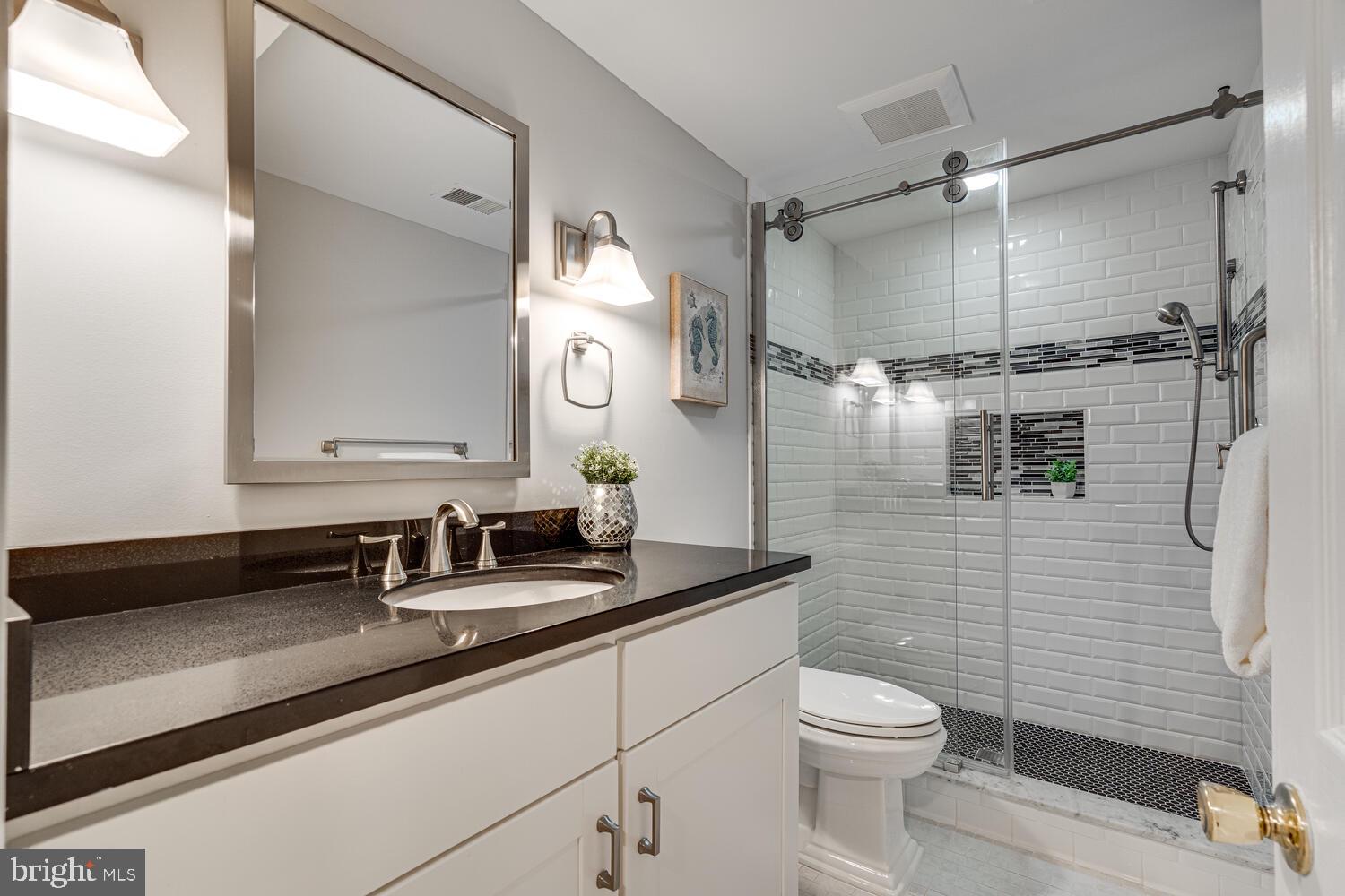 2815 Regina Drive Silver Spring, MD 20906 - Photo 47 of 60 Bathroom Lower Level