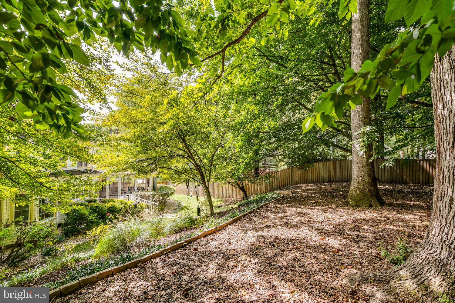 2815 Regina Drive Silver Spring, MD 20906 - Photo 54 of 60 Landscaped Backyard