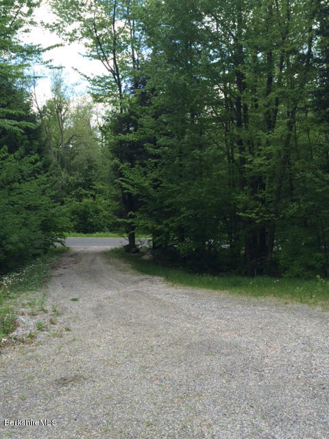103 Algerie Road Becket, MA 01223 - Photo 5 of 37 a view of a backyard